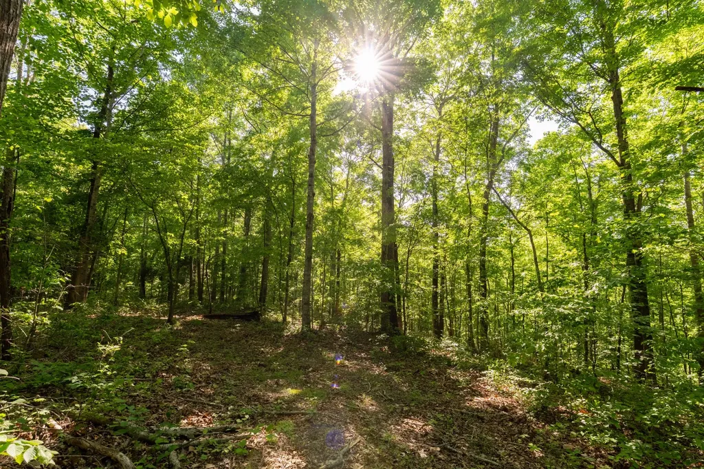 307 Frey Street Ashland City TN 37015