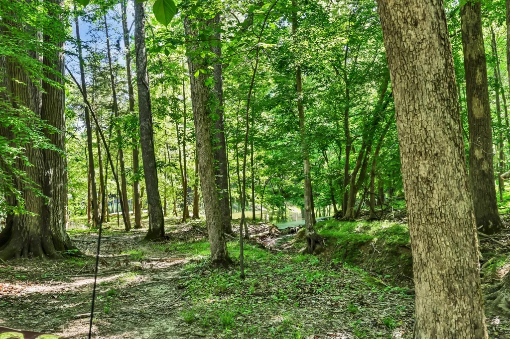 407 Summerfield Drive Cadiz KY 42211