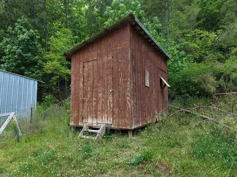 1720 Bear Creek Road Collinwood TN 38450