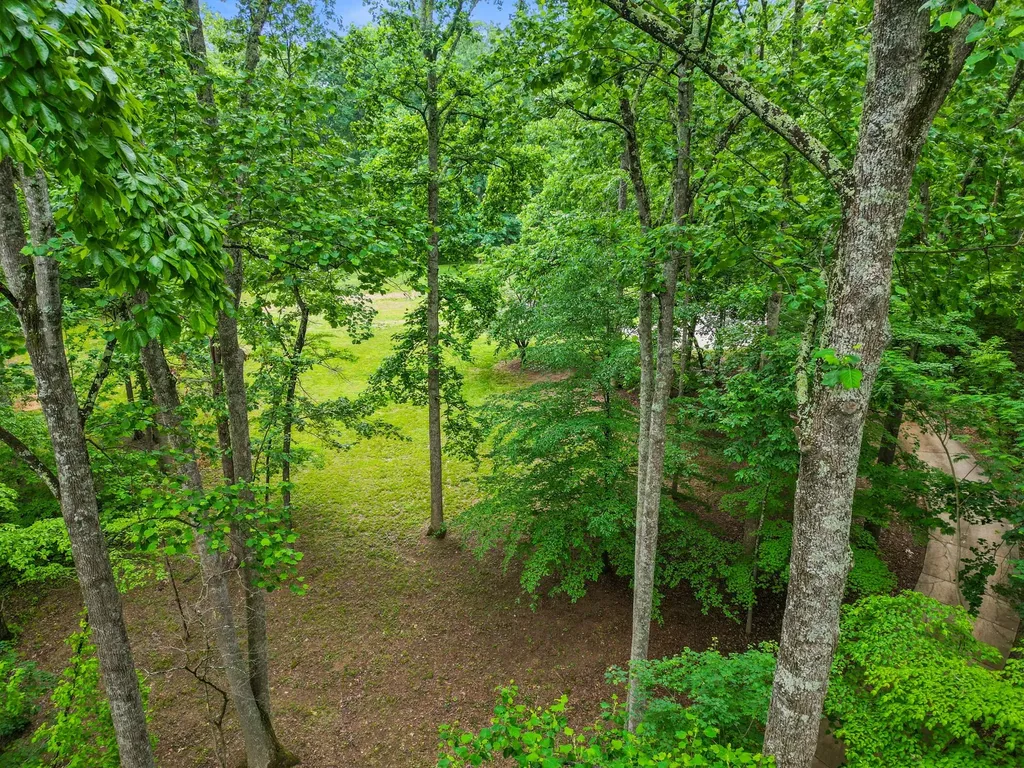 150A Dogwood Springs Drive Portland TN 37148