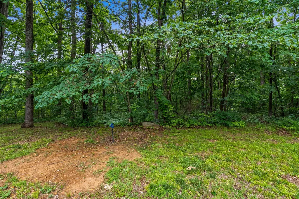 150A Dogwood Springs Drive Portland TN 37148