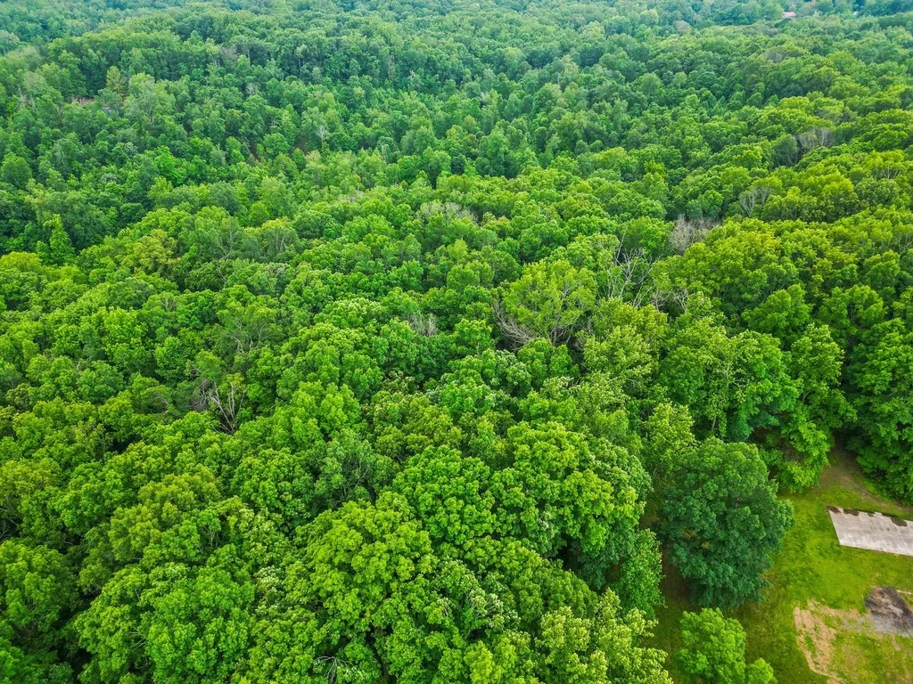 150A Dogwood Springs Drive Portland TN 37148