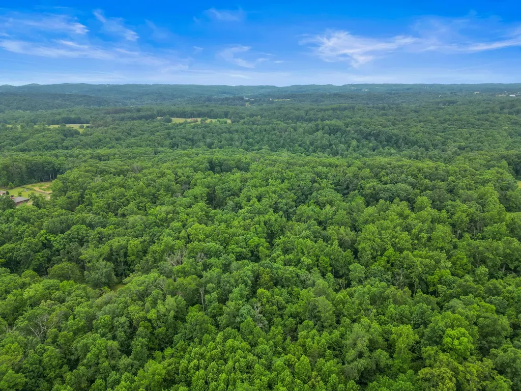 150A Dogwood Springs Drive Portland TN 37148