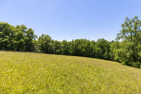 1071 Sycamore Lane Nunnelly TN 37137