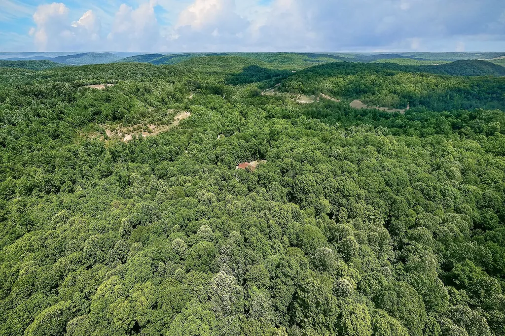 500 Branch Lane Monterey TN 38574