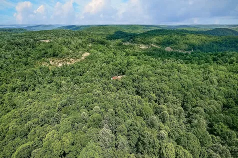 500 Branch Lane Monterey TN 38574