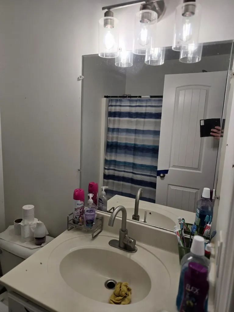 4223 Woods Street Old Hickory TN 37138