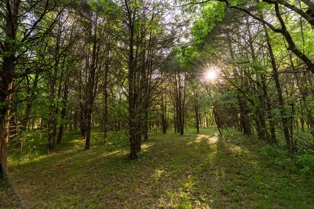 507 Fellowship Road Mount Juliet TN 37122