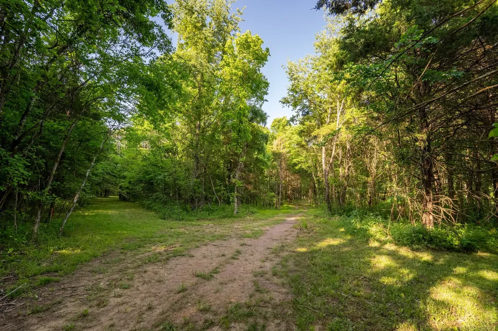 507 Fellowship Road Mount Juliet TN 37122