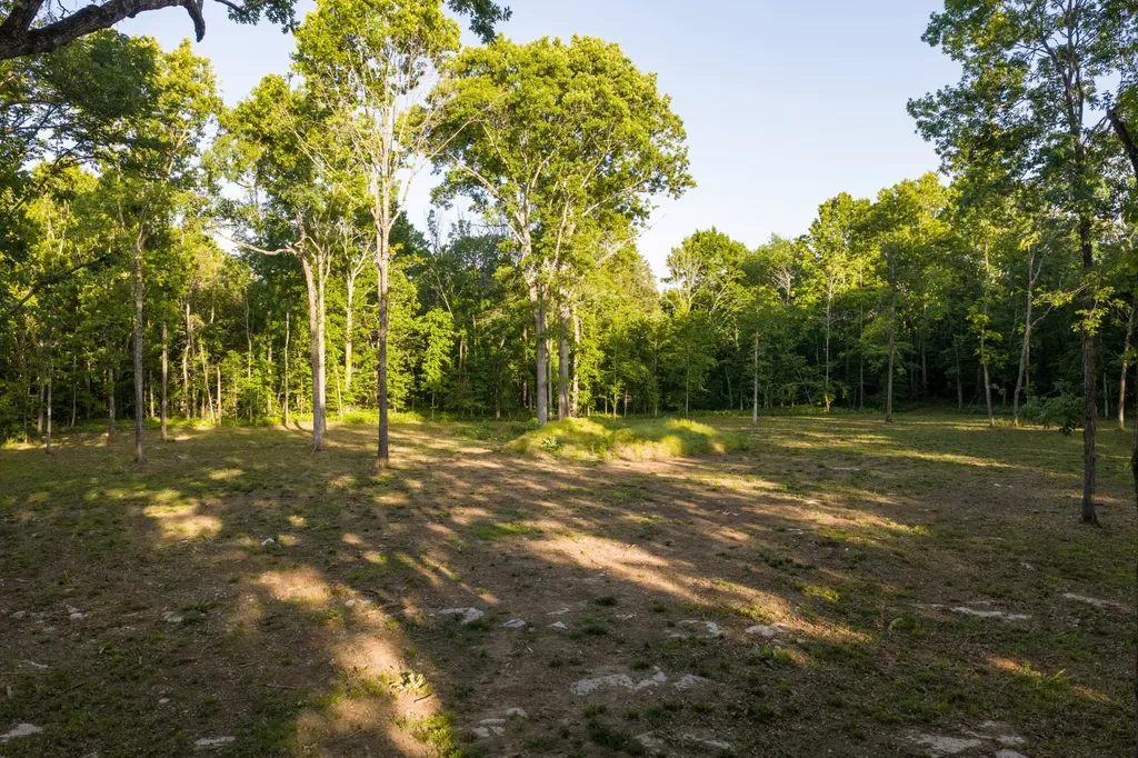 507 Fellowship Road Mount Juliet TN 37122