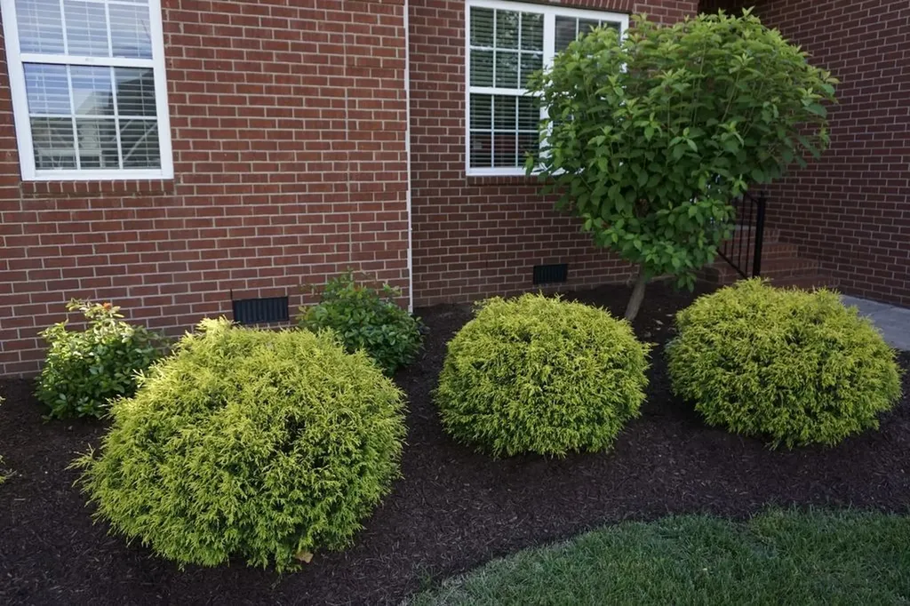 3606 Geneva Drive Murfreesboro TN 37128