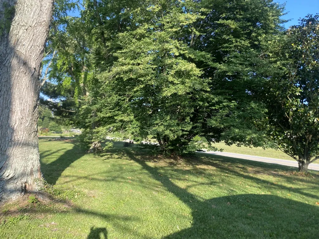 5060 Shelbyville Road Mcminnville TN 37110