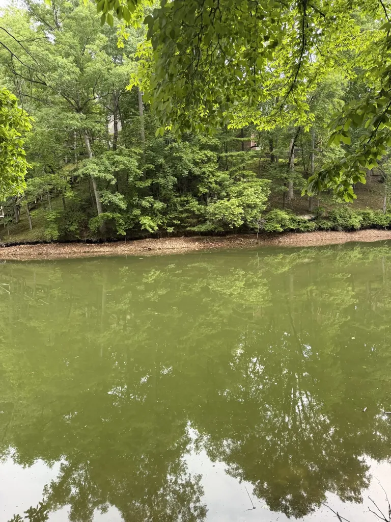 0 Dry Creek Lane Winchester TN 37398