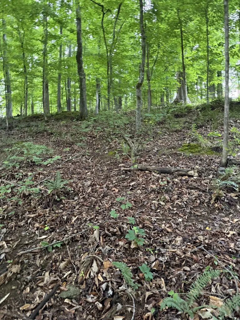 0 Dry Creek Lane Winchester TN 37398