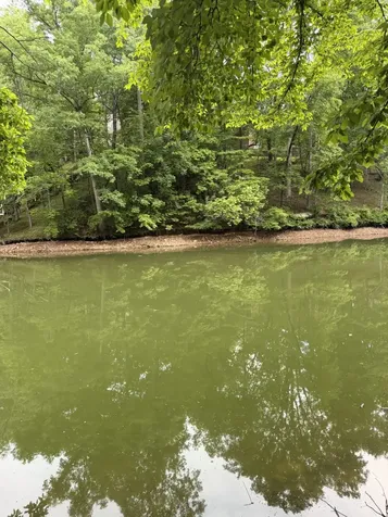0 Dry Creek Lane Winchester TN 37398