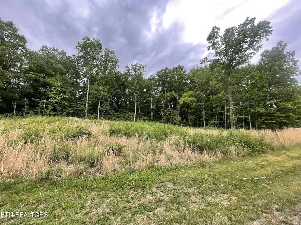 0 Willow Ridge Drive Crossville TN 38571