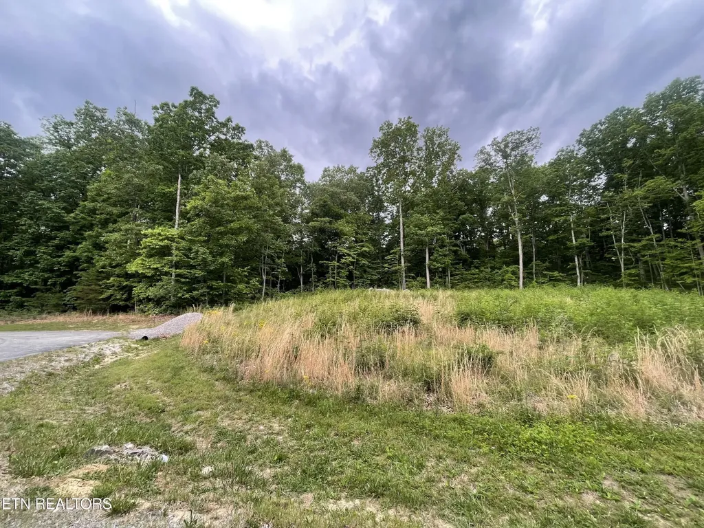 0 Willow Ridge Drive Crossville TN 38571