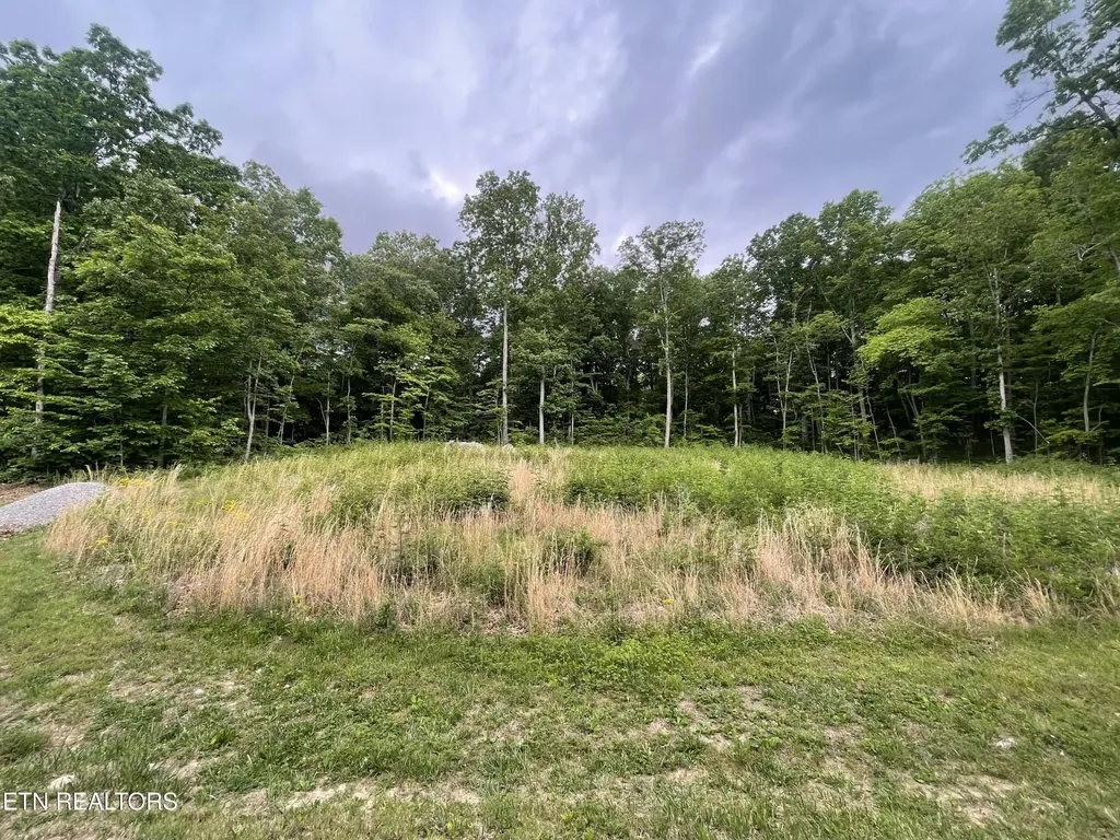 0 Willow Ridge Drive Crossville TN 38571