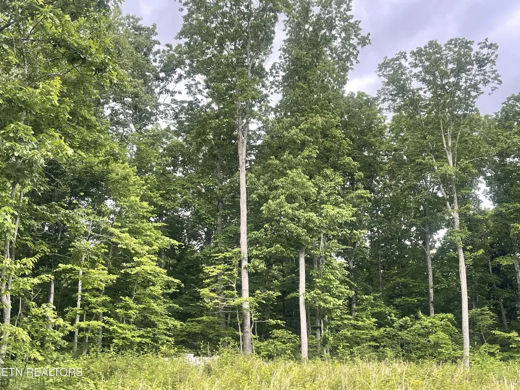 0 Willow Ridge Drive Crossville TN 38571