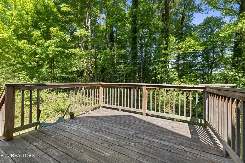 5513 Pinellas Drive Knoxville TN 37919