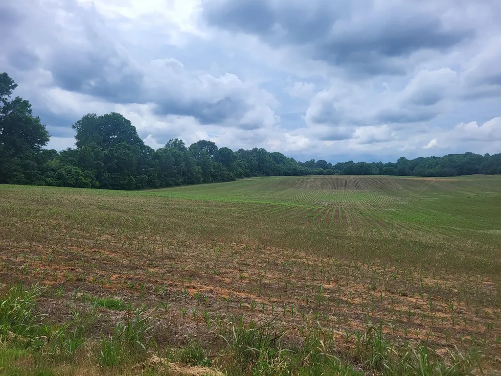 0 Goodbar Road Rock Island TN 38581