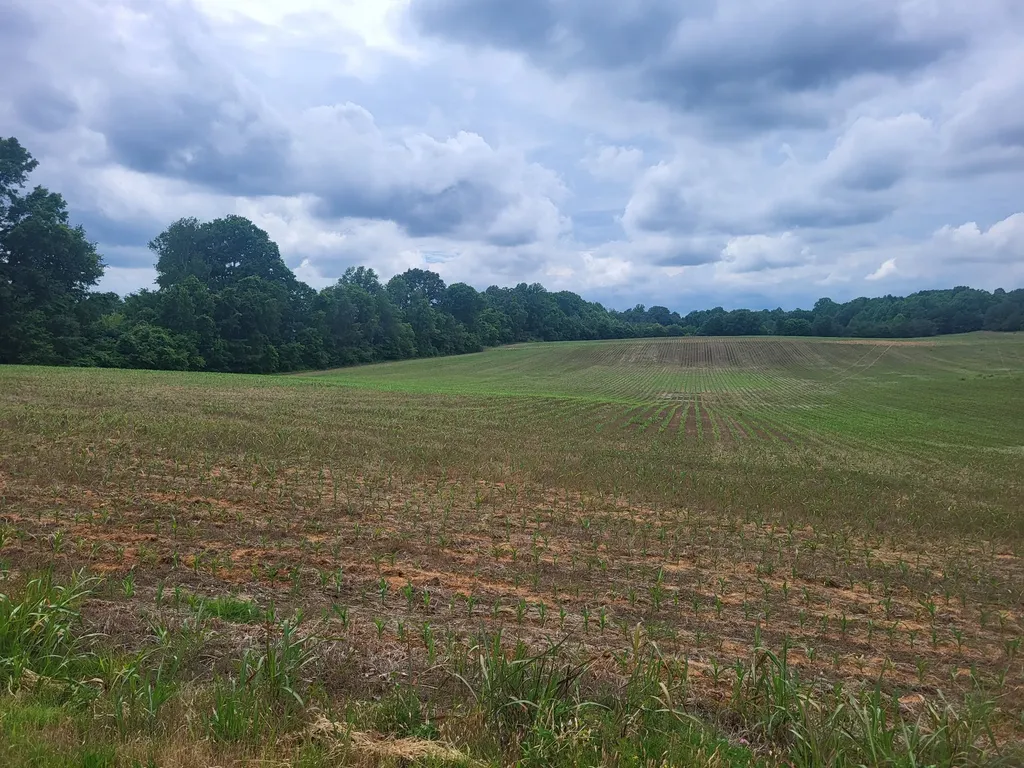 0 Goodbar Road Rock Island TN 38581