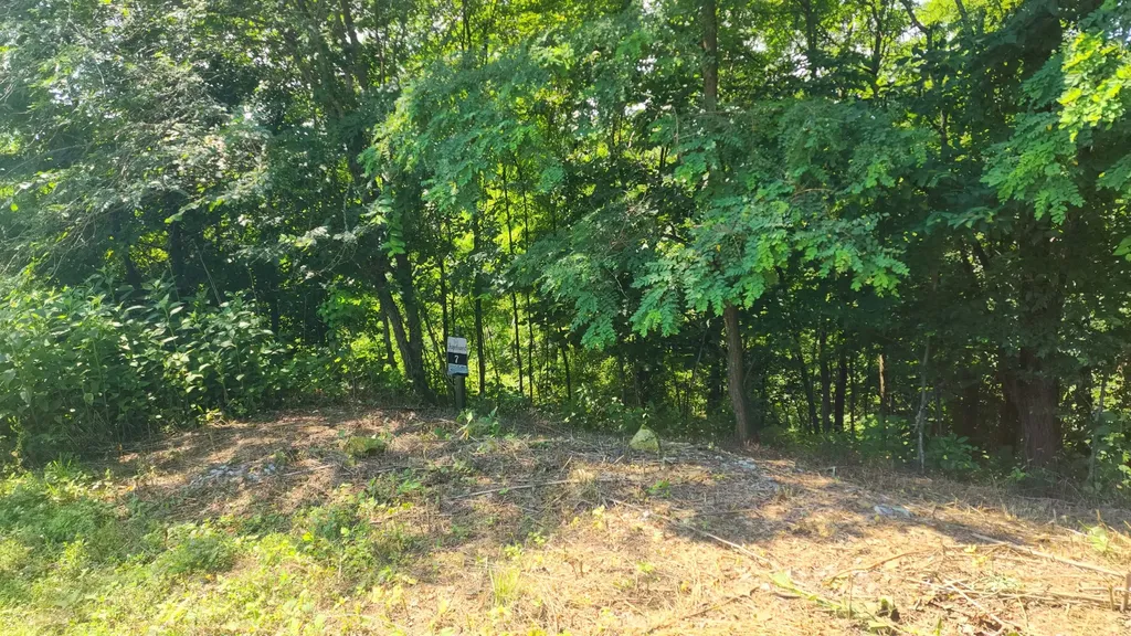 0 Shayna Court Smithville TN 37166