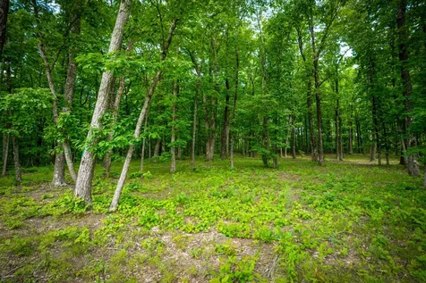 4562 Amethyst Road Chattanooga TN 37419