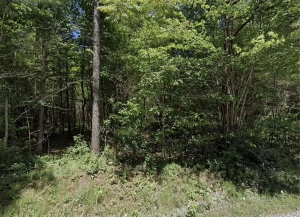 982 Muddy Branch Road Crossville TN 38571