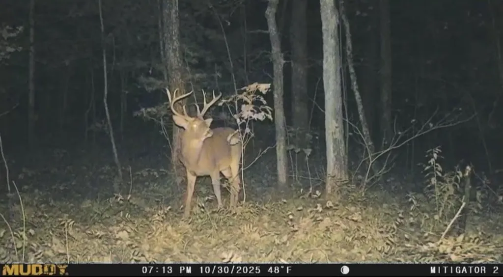982 Muddy Branch Road Crossville TN 38571