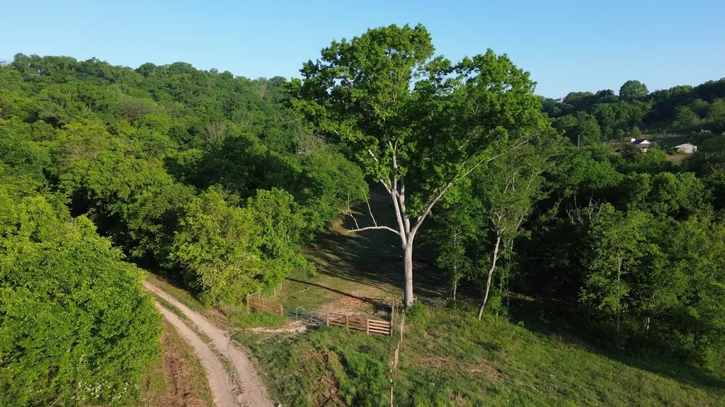1820 New Highway 7 Columbia TN 38401