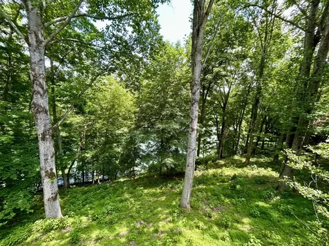331 Huffman Park Road Lynchburg TN 37352