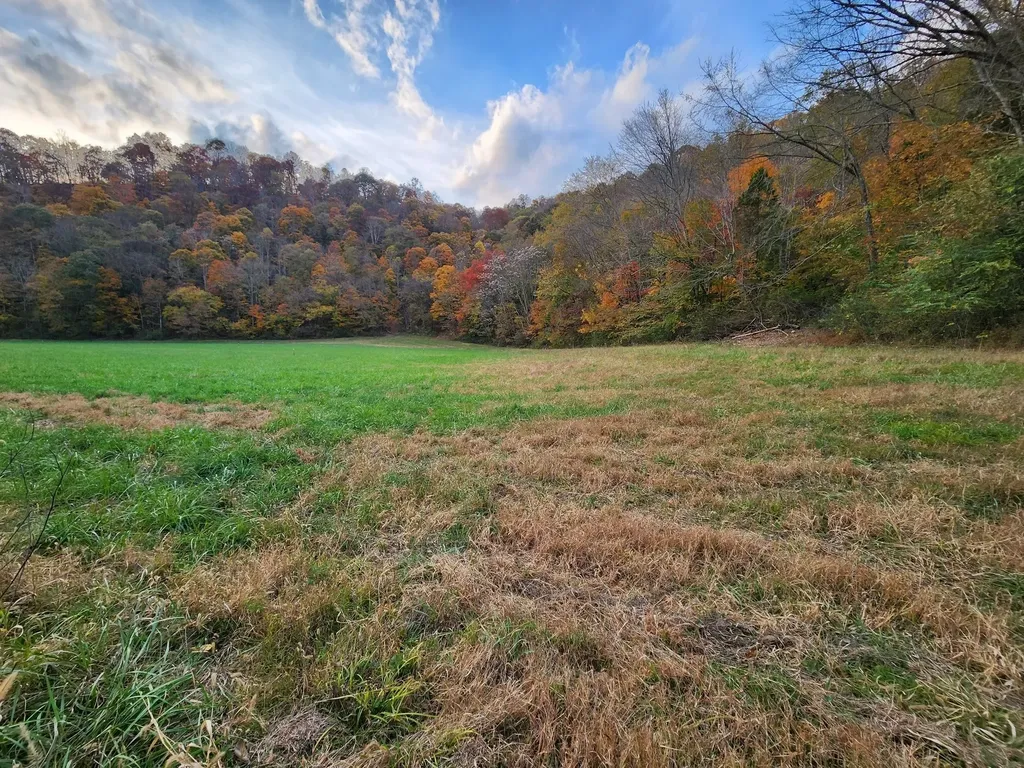 0 Pine Lick Road Whitleyville TN 38588