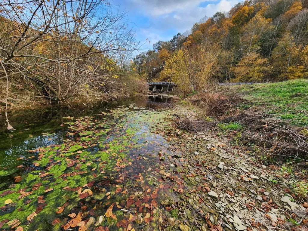 0 Pine Lick Road Whitleyville TN 38588