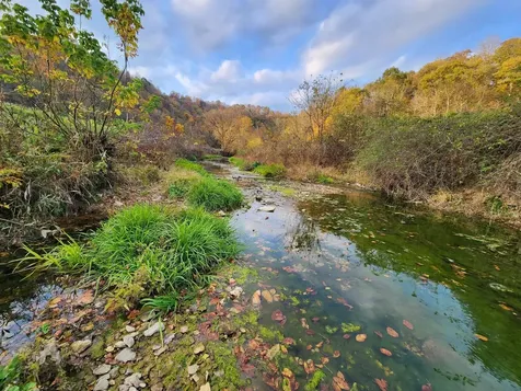 0 Pine Lick Road Whitleyville TN 38588