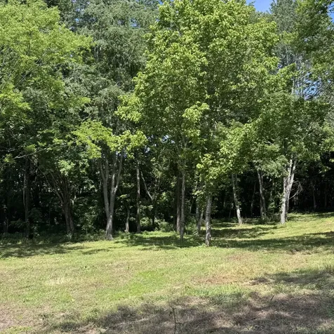 5 Poplar Ridge Lane Chapmansboro TN 37035