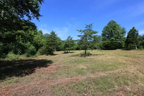 5 Poplar Ridge Lane Chapmansboro TN 37035