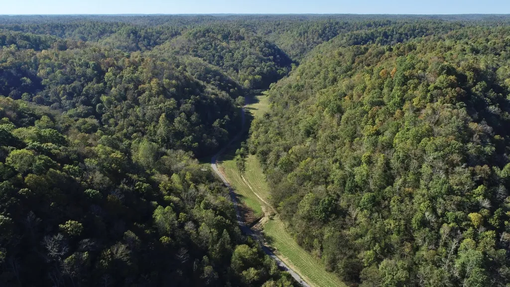 221 Pine Lick Estates Drive Whitleyville TN 38588