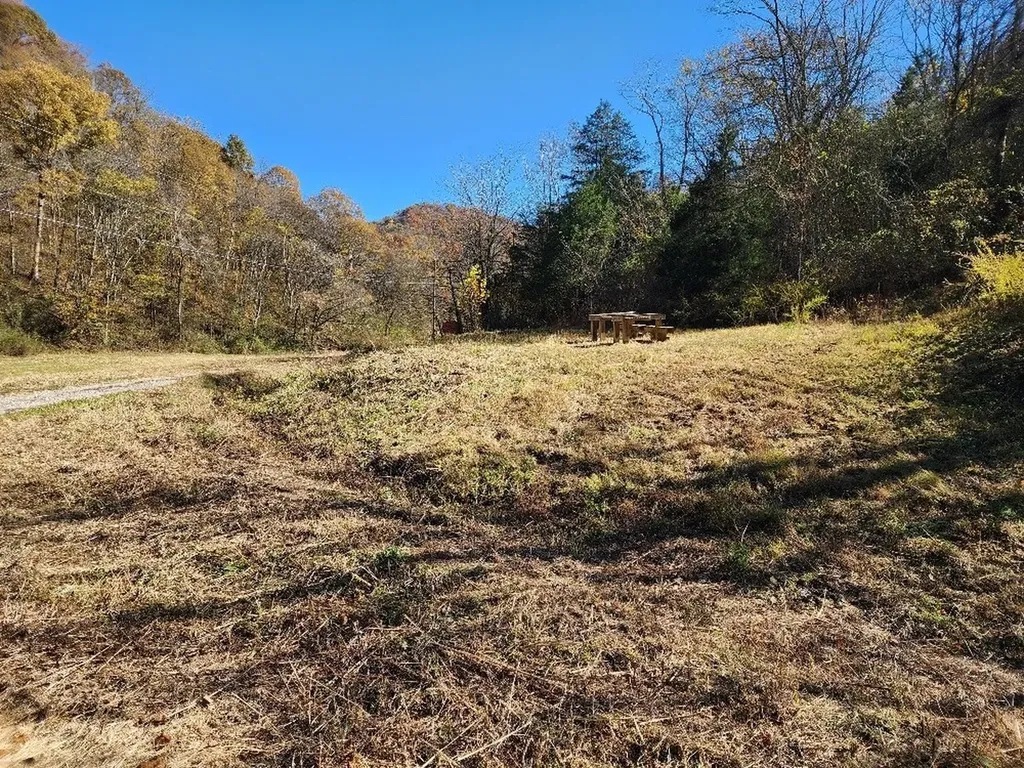 221 Pine Lick Estates Drive Whitleyville TN 38588