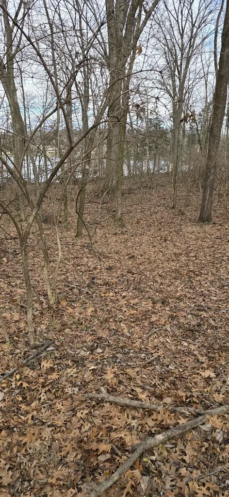 316 Estate Drive Mount Juliet TN 37122