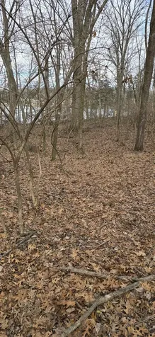 316 Estate Drive Mount Juliet TN 37122