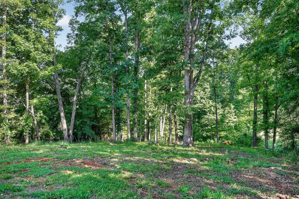 1883 Browntown Road Sparta TN 38583