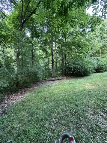168 Inglewood Drive Clarksville TN 37040