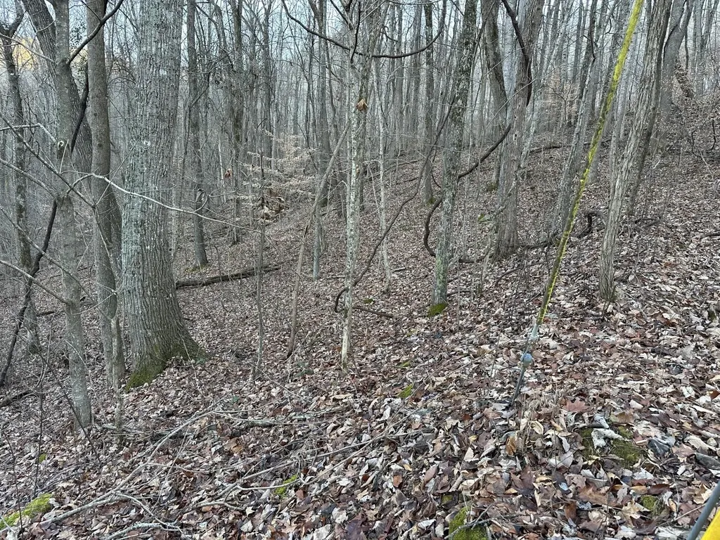 83 Stone Ridge Road Pikeville TN 37367