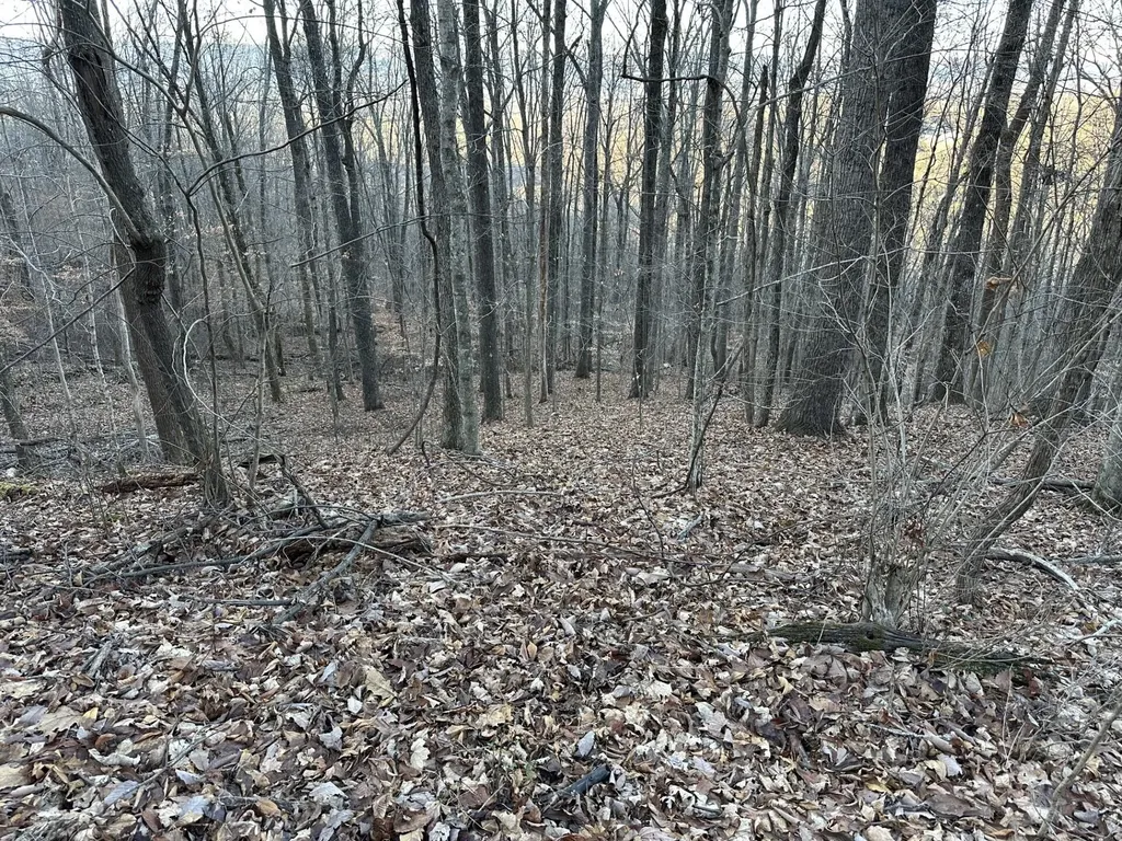 76 Fox Ridge Pikeville TN 37367
