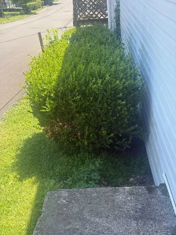 1401A S Main Street Columbia TN 38401