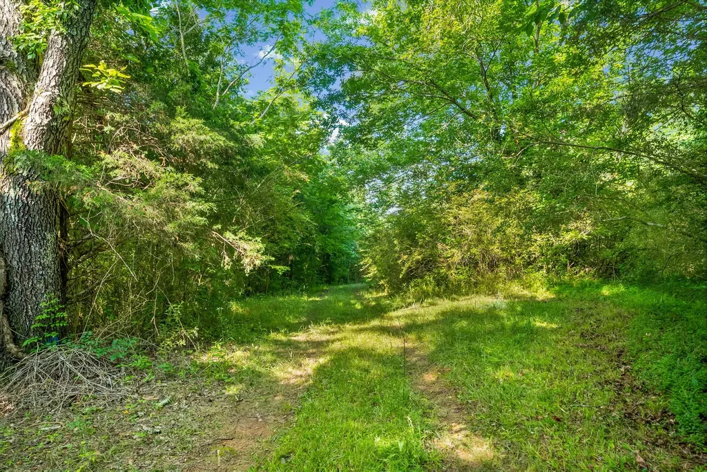 1010 Saddle Tree Road Ashland City TN 37015