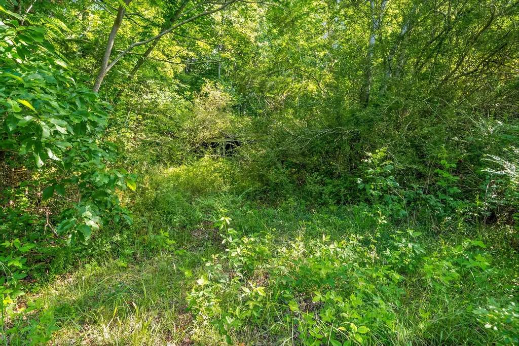 1010 Saddle Tree Road Ashland City TN 37015