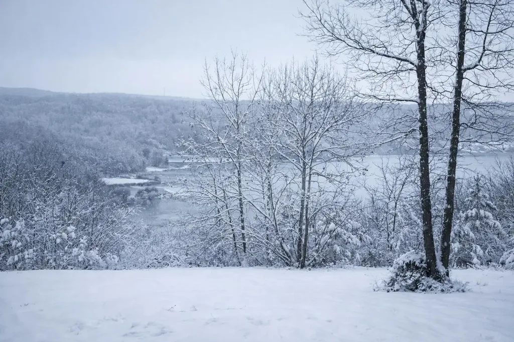 140 Quail Hollow Cove Spring City TN 37381