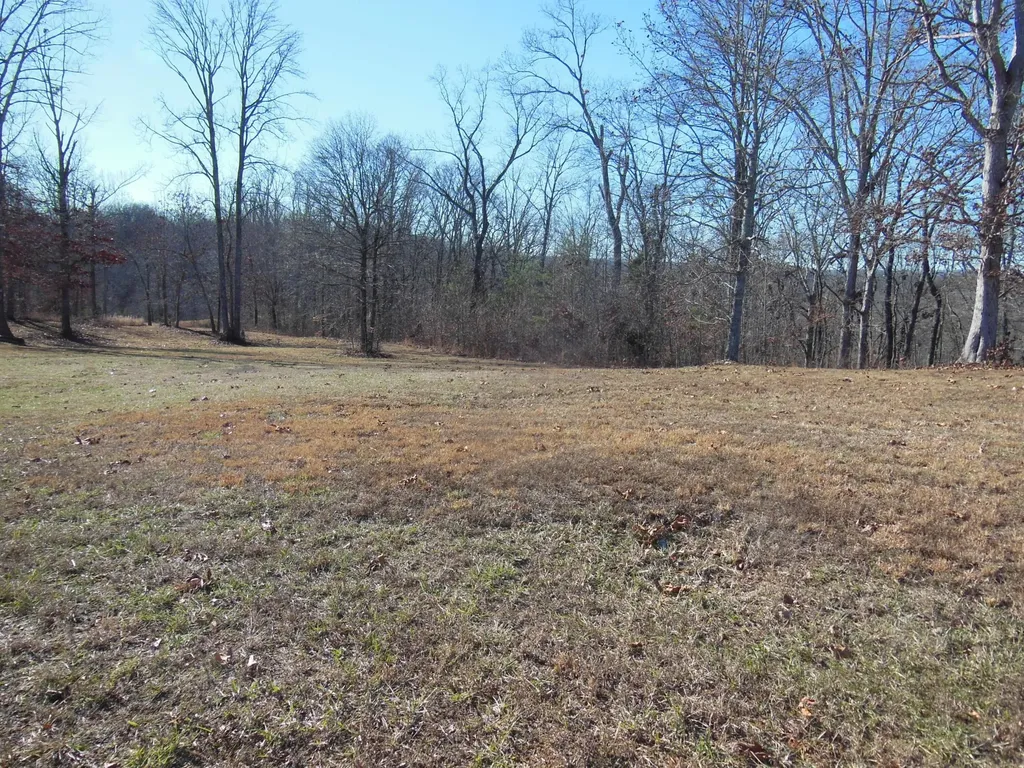 140 Quail Hollow Cove Spring City TN 37381